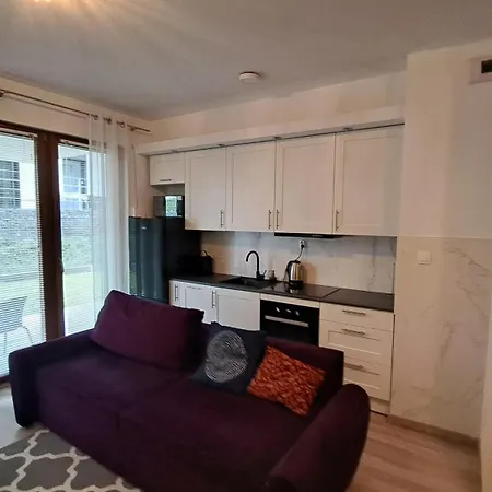 公寓 Rakowicka Wawelofts