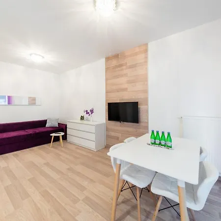 Rakowicka Wawelofts Apartmán *