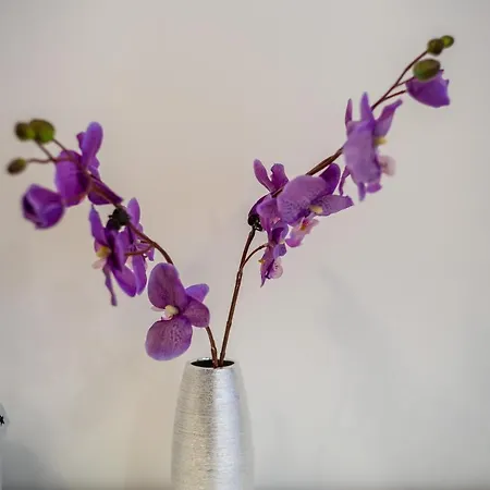 Rakowicka Wawelofts Apartmán Krakov