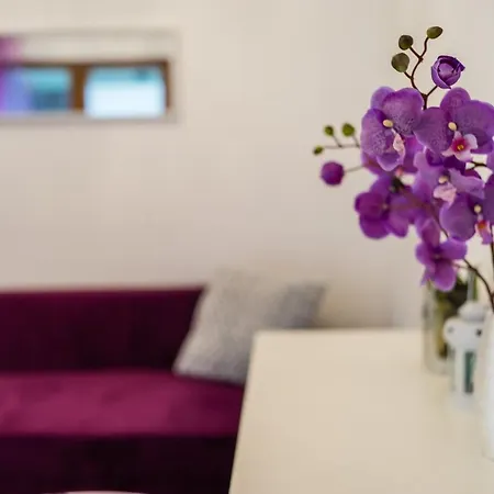 Apartmán Rakowicka Wawelofts Krakov