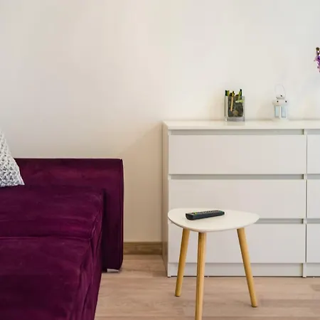 Apartmán Rakowicka Wawelofts