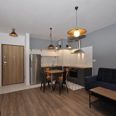 Apartmán Rakowicka Wawelofts