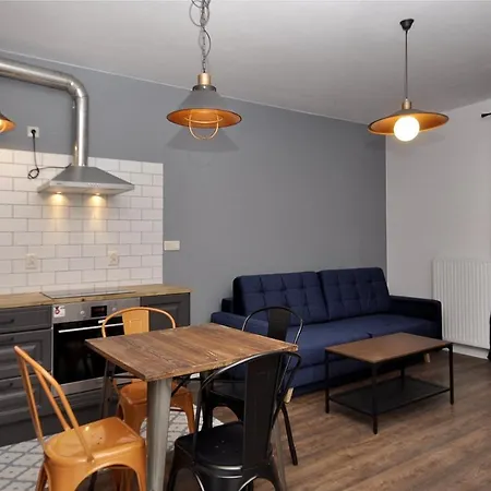 Rakowicka Wawelofts Apartmán *