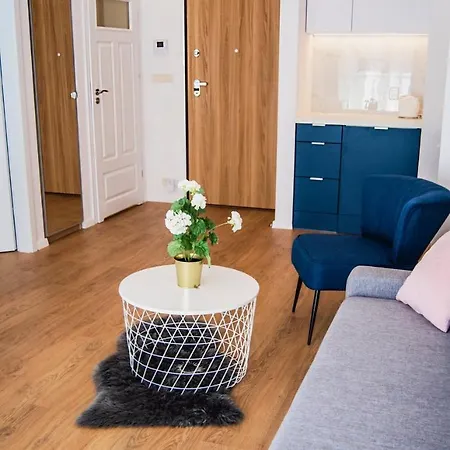 Rakowicka Wawelofts 公寓 克拉科夫