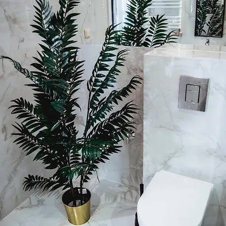 公寓 Rakowicka Wawelofts *