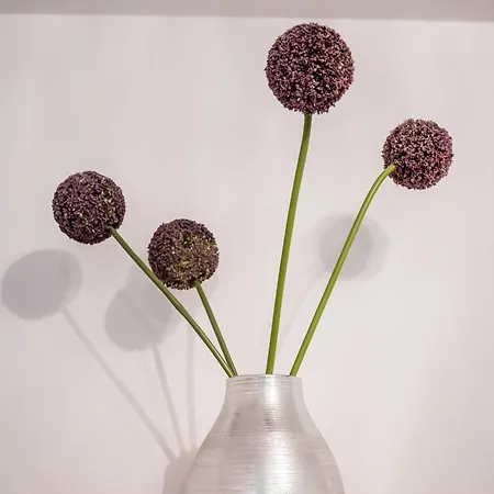 아파트 Rakowicka Wawelofts